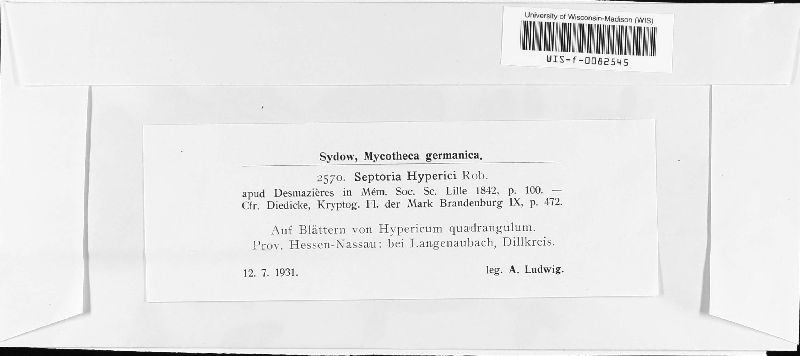 Sphaerulina hyperici image