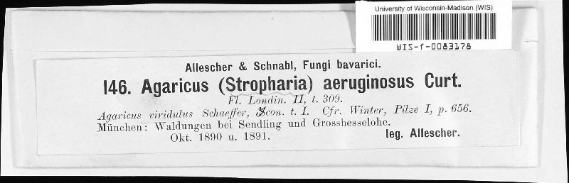 Stropharia image