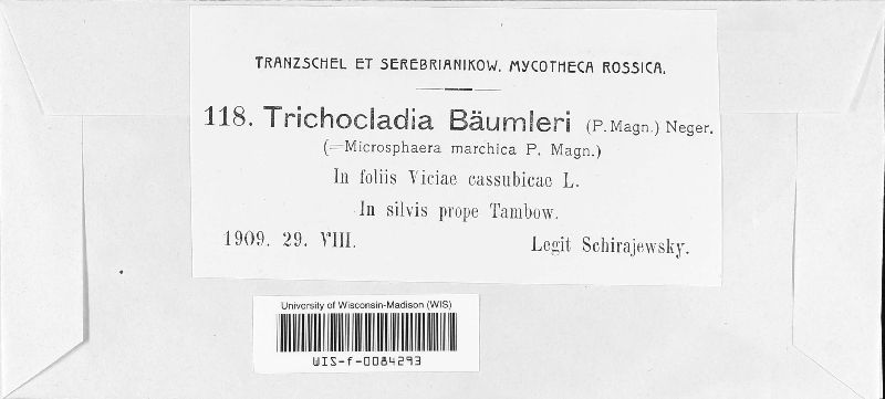 Trichocladia image