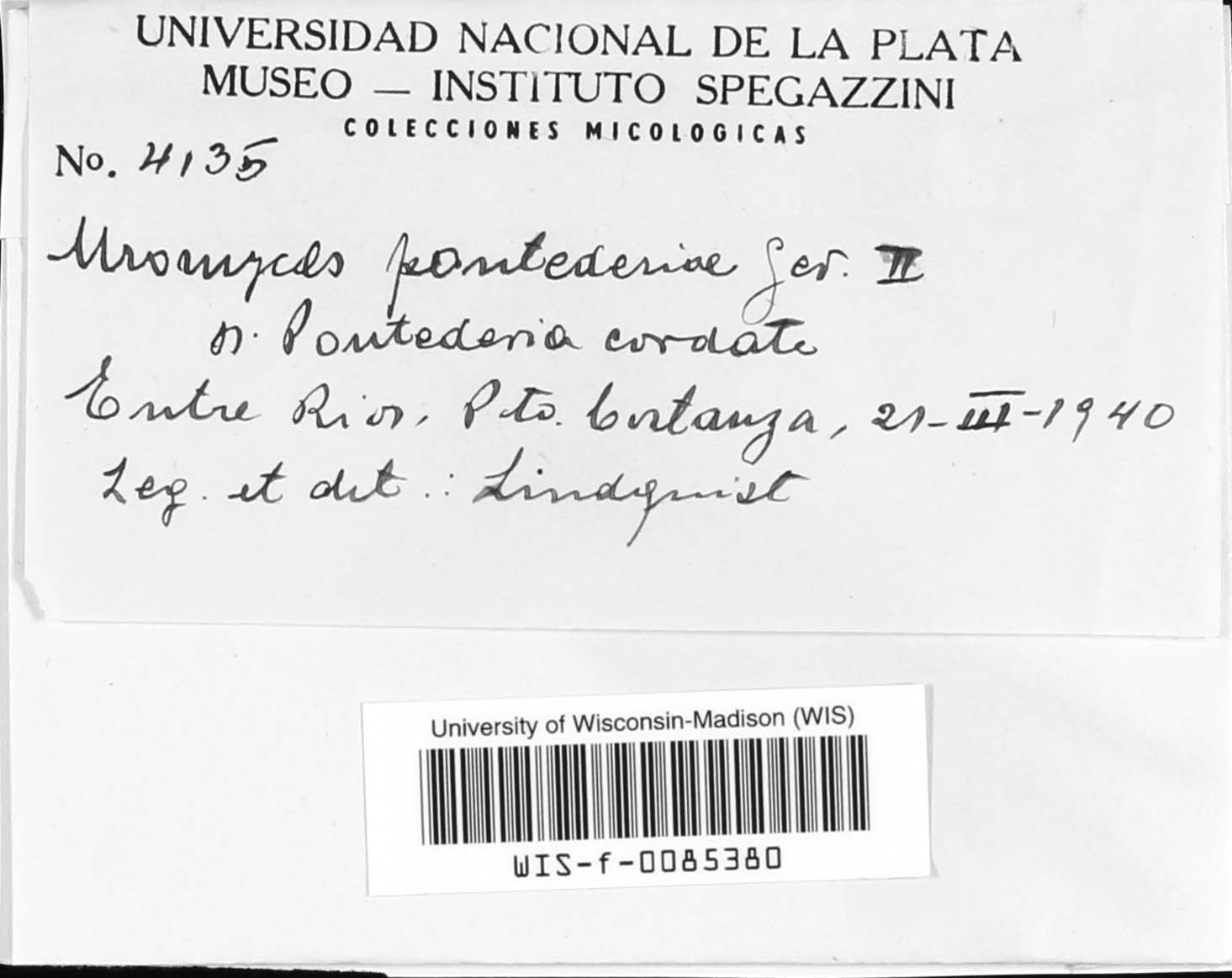 Uromyces pontederiae image