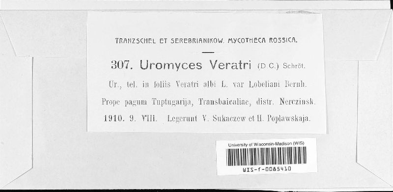 Uromyces veratri image
